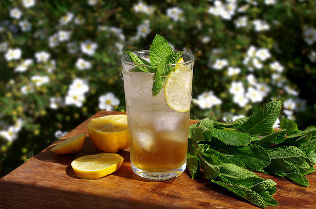 Ladyland Elderflower Collins